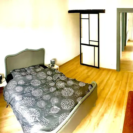 L Indemodable Renove Spacieux Et Lumineux Avec 2 Chambres Sarrebourg Exterior photo