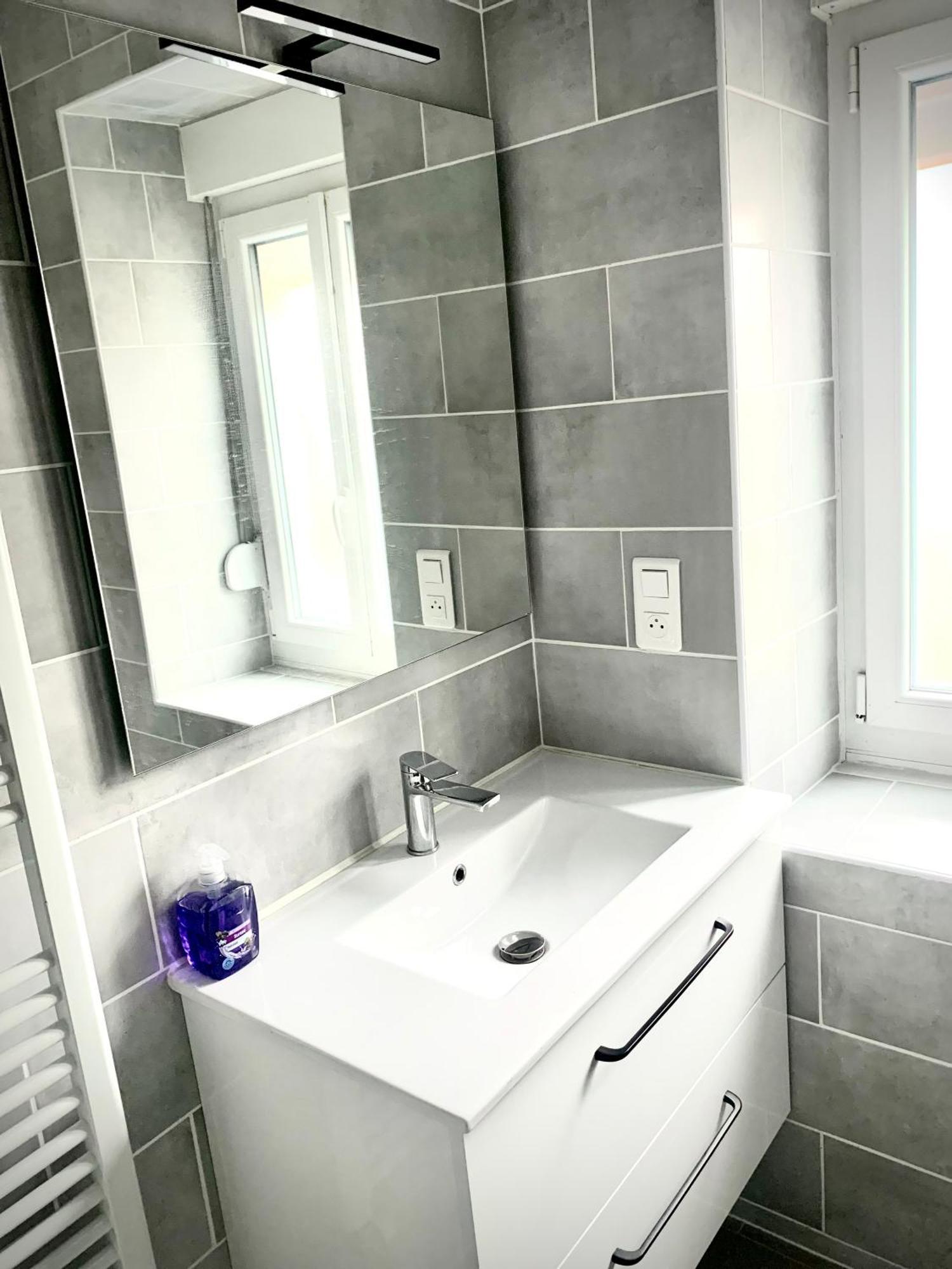 L Indemodable Renove Spacieux Et Lumineux Avec 2 Apartment Sarrebourg